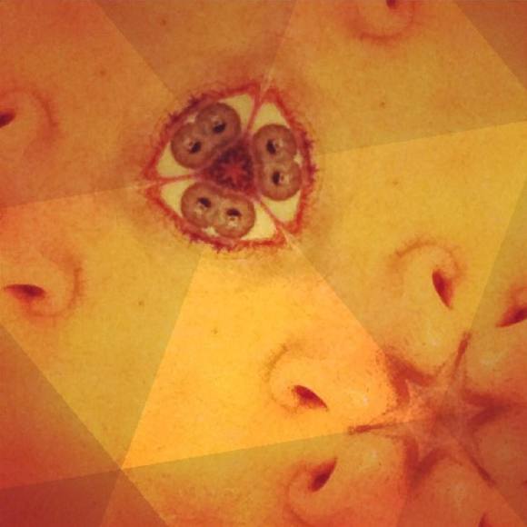 Meet your Posher, Allison - Picture 1 of 1